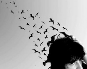 Reputación (digital o o no): un ejemplo de como hundirla uno solito ( la propia y la de los demás) 1