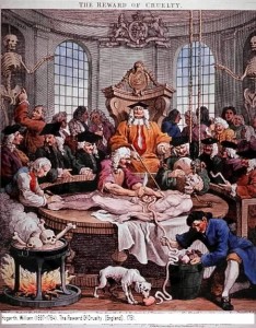 Segmentacion, pero, ¿hasta dónde? 1