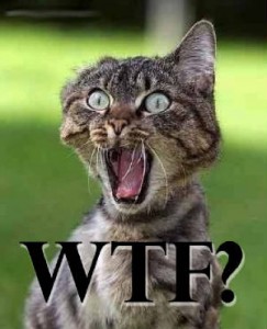 ¿ Dos herramientas de analítica web devuelven datos diferentes? 1 ¿ Dos herramientas de analítica web devuelven datos diferentes? 1