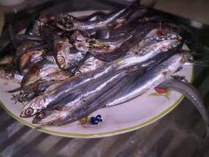 Tráfico de móviles y cookies de terceros. El efecto Dory del navegador safari. 1 Tráfico de móviles y cookies de terceros. El efecto Dory del navegador safari. 1