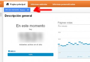 Analytics en tiempo real: SEGMENTAR INFORMACION 2