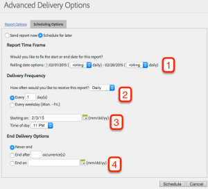 Preparando el exámen de Adobe Site Catalyst: Distribución de informes 12