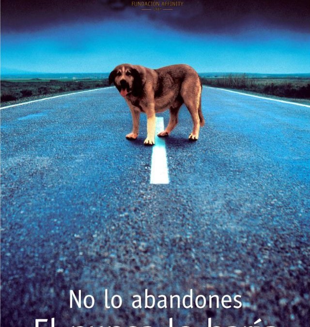 No me abandones… Yo no lo haria.