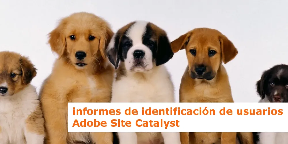 Adobe Analytics: Informes para identificar usuarios