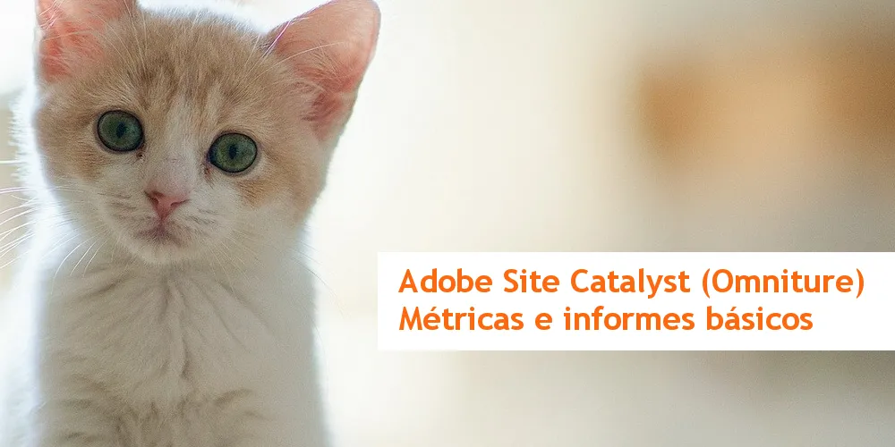 Adobe Analytics: las métricas básicas en los informes