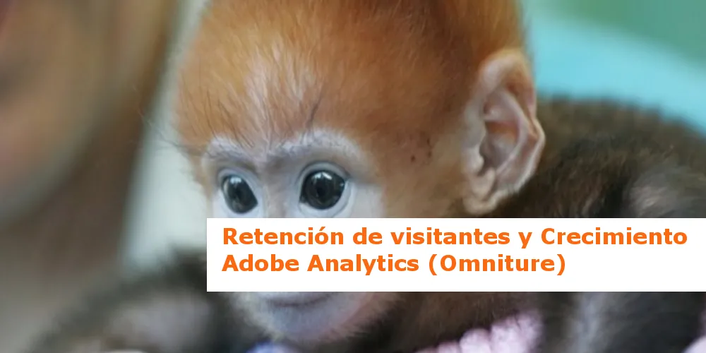Retención de visitantes y crecimiento con Adobe Analytics